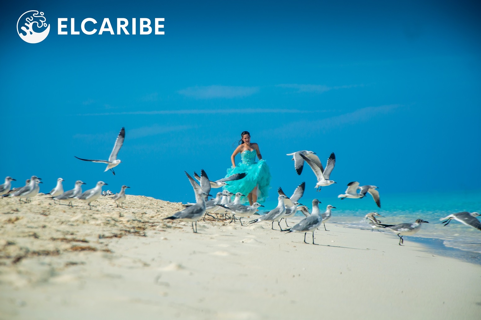 bienvenidos a los jarnines del rey